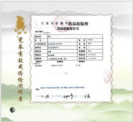 張掖民樂(lè)縣 守正創(chuàng)新筑基石，嚴(yán)把質(zhì)量?jī)傻狸P(guān)